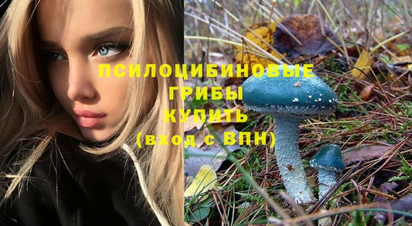 герыч Иннополис