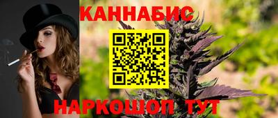прущие грибы Усть-Илимск