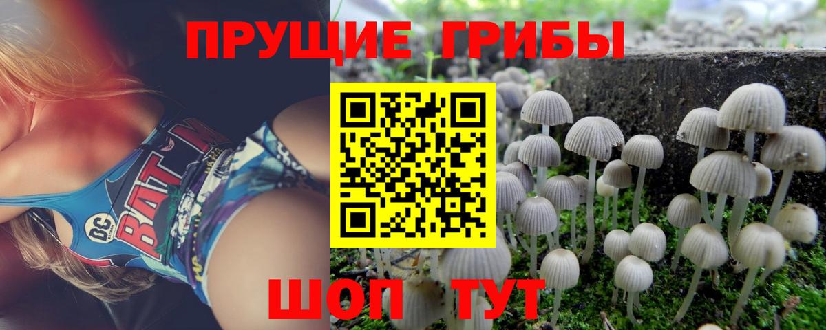 Псилоцибиновые грибы MAGIC MUSHROOMS Октябрьский