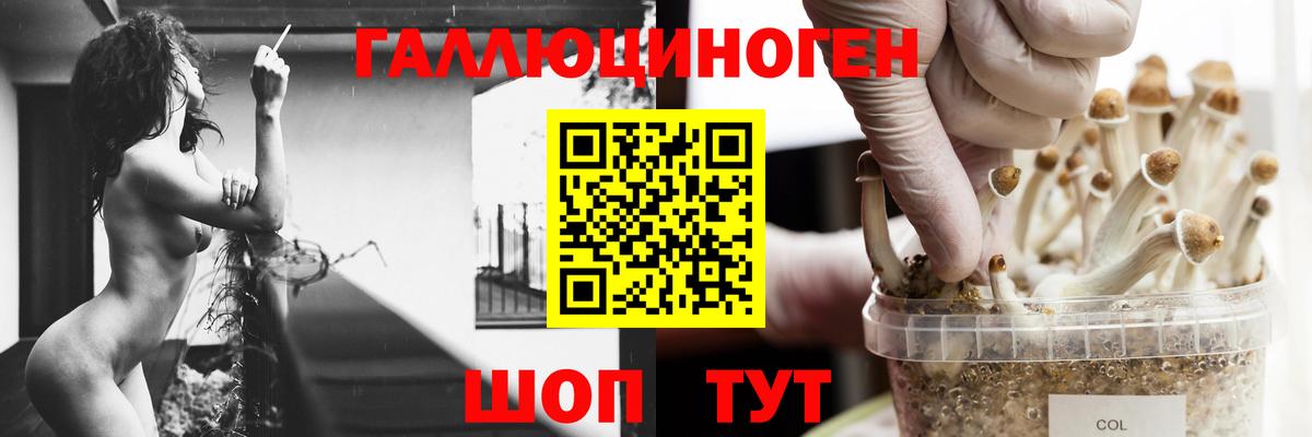 Октябрьский  Псилоцибиновые грибы прущие грибы  Псилоцибиновые грибы MAGIC MUSHROOMS  Вход с VPN 